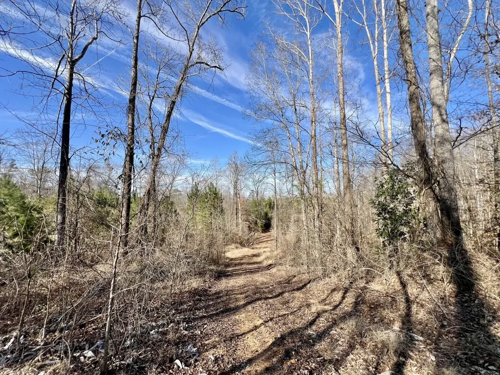 0 Old Claiborne Road Thomasville AL 36784