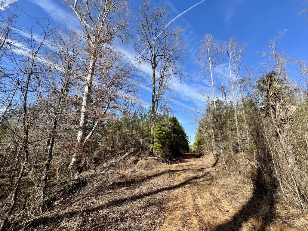0 Old Claiborne Road Thomasville AL 36784