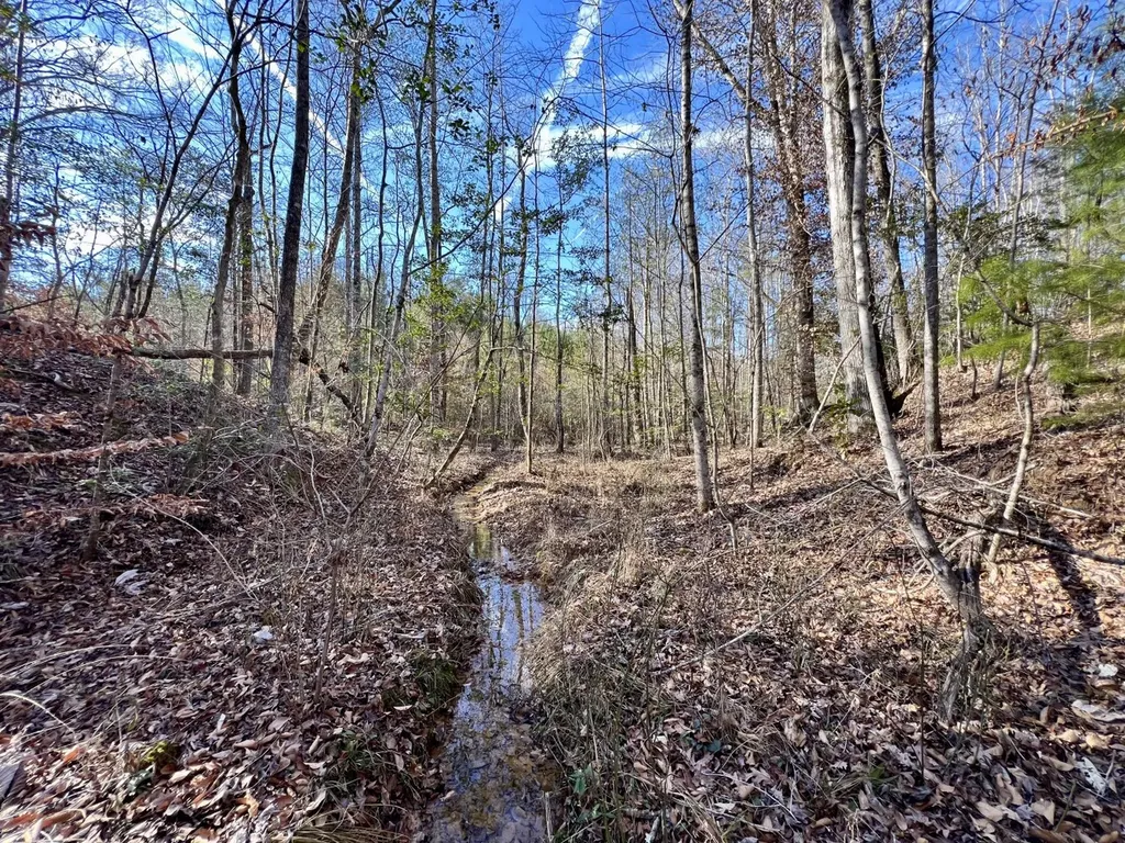 0 Old Claiborne Road Thomasville AL 36784