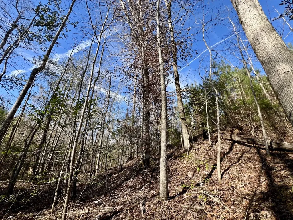 0 Old Claiborne Road Thomasville AL 36784
