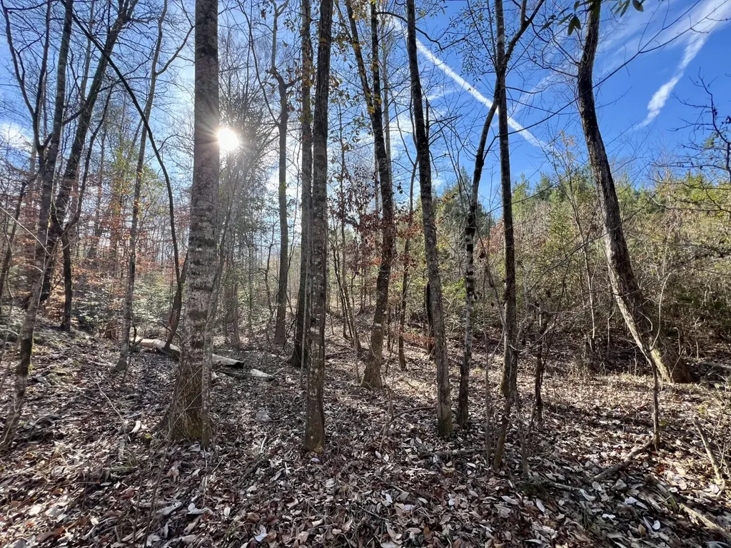 0 Old Claiborne Road Thomasville AL 36784