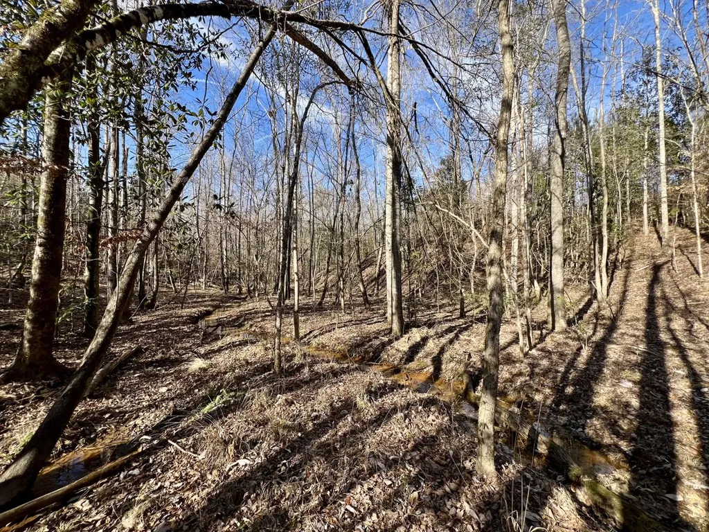 0 Old Claiborne Road Thomasville AL 36784
