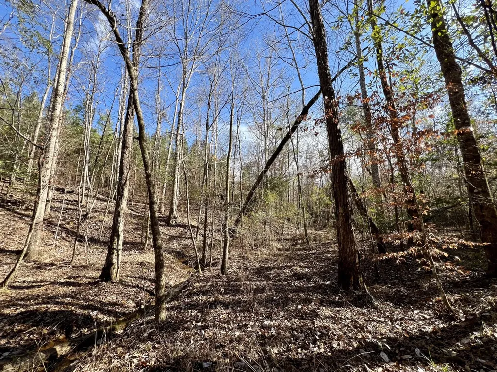 0 Old Claiborne Road Thomasville AL 36784