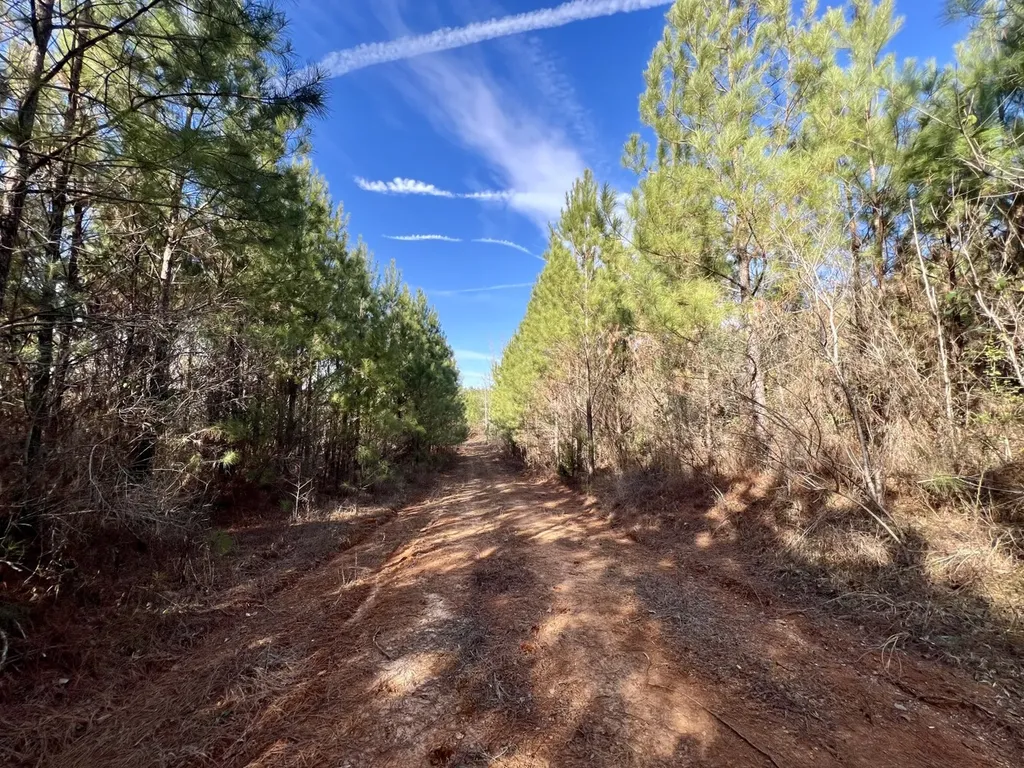 0 Old Claiborne Road Thomasville AL 36784