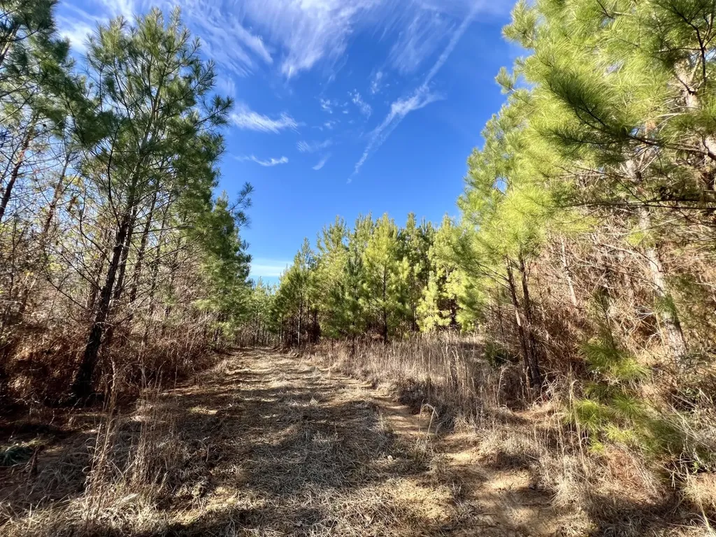 0 Old Claiborne Road Thomasville AL 36784