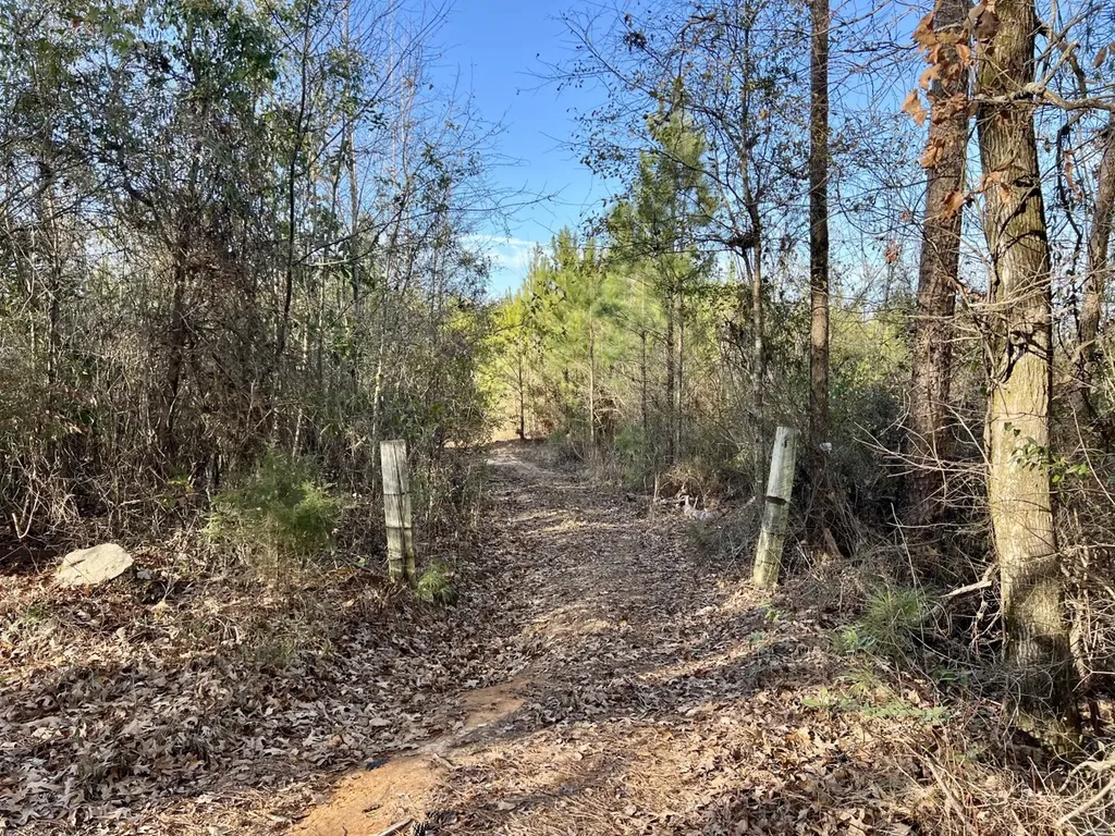0 Old Claiborne Road Thomasville AL 36784