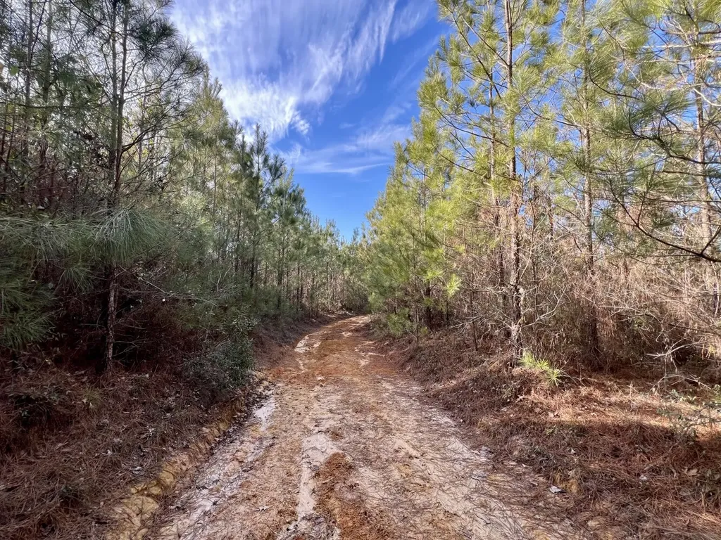 0 Old Claiborne Road Thomasville AL 36784