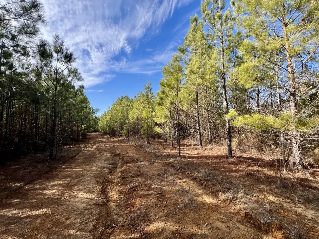 0 Old Claiborne Road Thomasville AL 36784