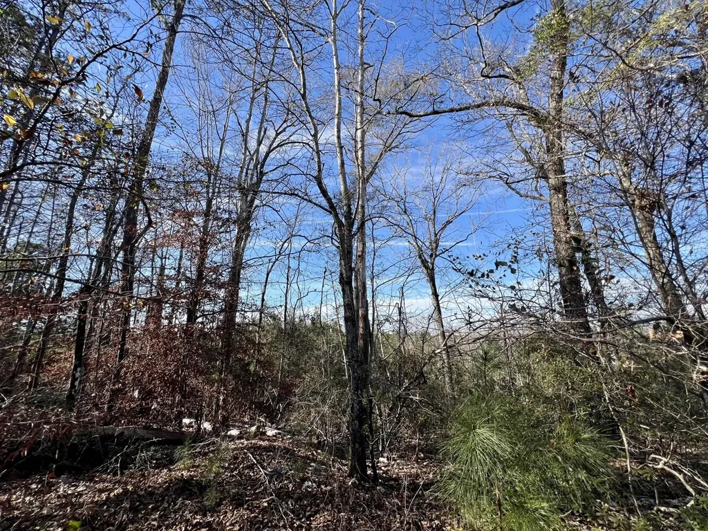 0 Old Claiborne Road Thomasville AL 36784