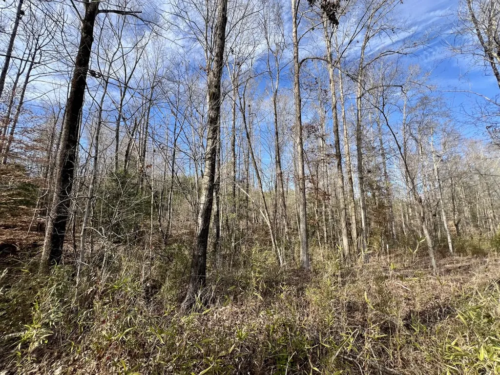 0 Old Claiborne Road Thomasville AL 36784