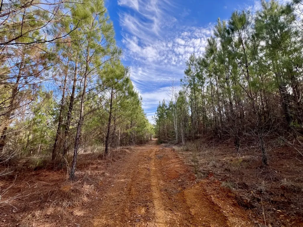 0 Old Claiborne Road Thomasville AL 36784