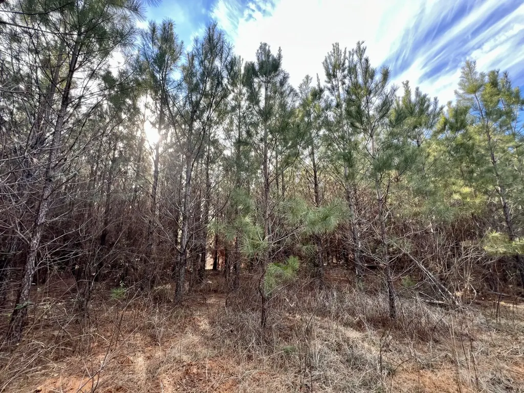 0 Old Claiborne Road Thomasville AL 36784