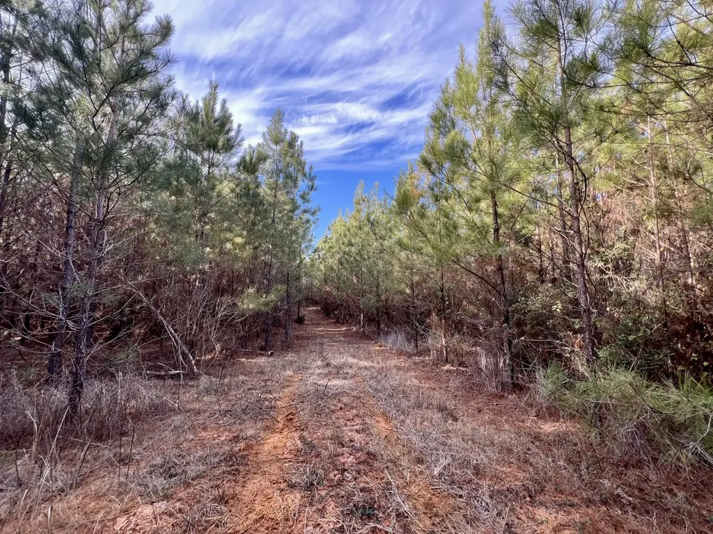 0 Old Claiborne Road Thomasville AL 36784
