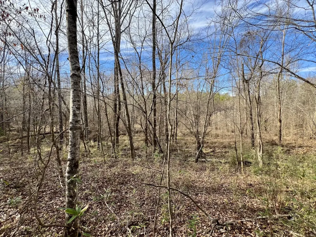 0 Old Claiborne Road Thomasville AL 36784