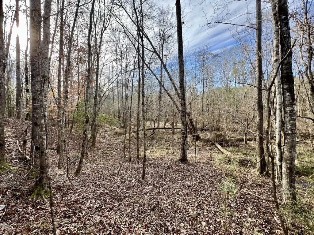 0 Old Claiborne Road Thomasville AL 36784