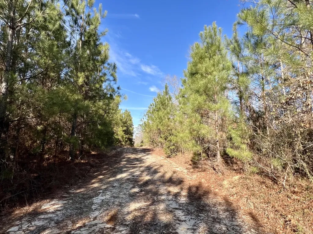 0 Old Claiborne Road Thomasville AL 36784