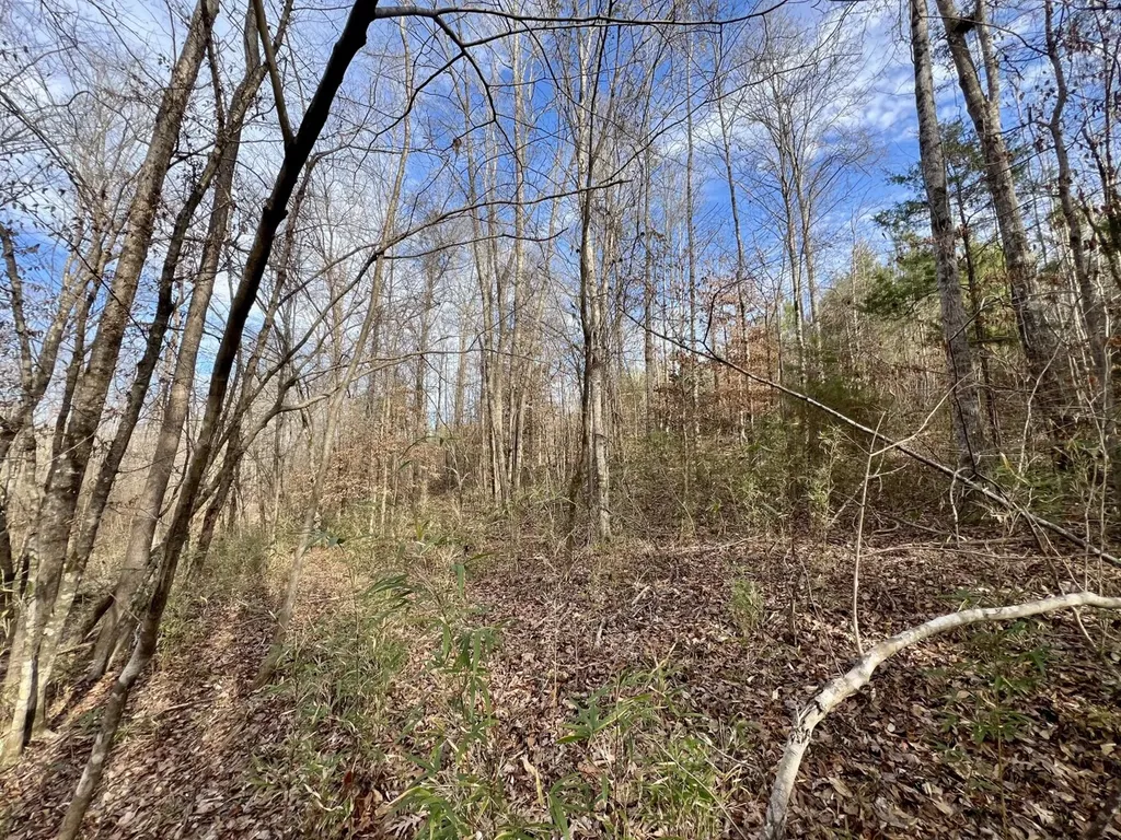 0 Old Claiborne Road Thomasville AL 36784