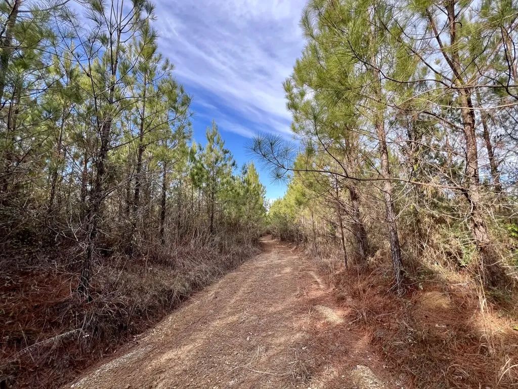 0 Old Claiborne Road Thomasville AL 36784
