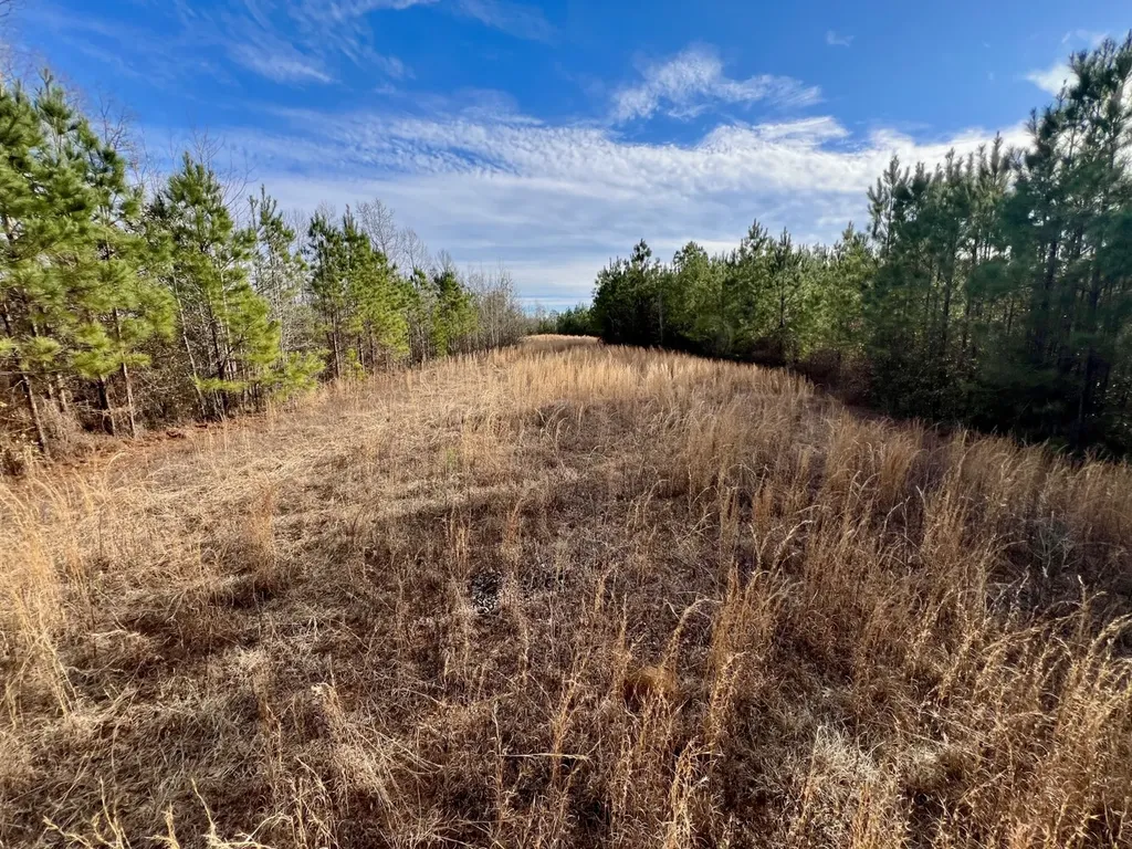 0 Old Claiborne Road Thomasville AL 36784