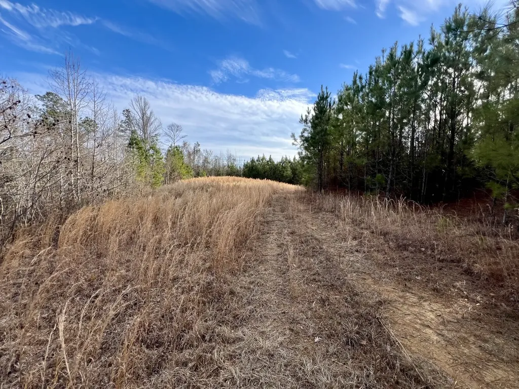 0 Old Claiborne Road Thomasville AL 36784