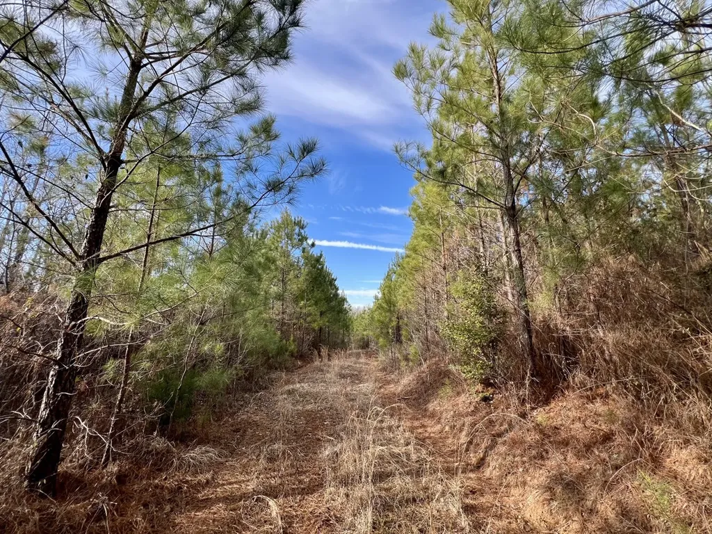 0 Old Claiborne Road Thomasville AL 36784
