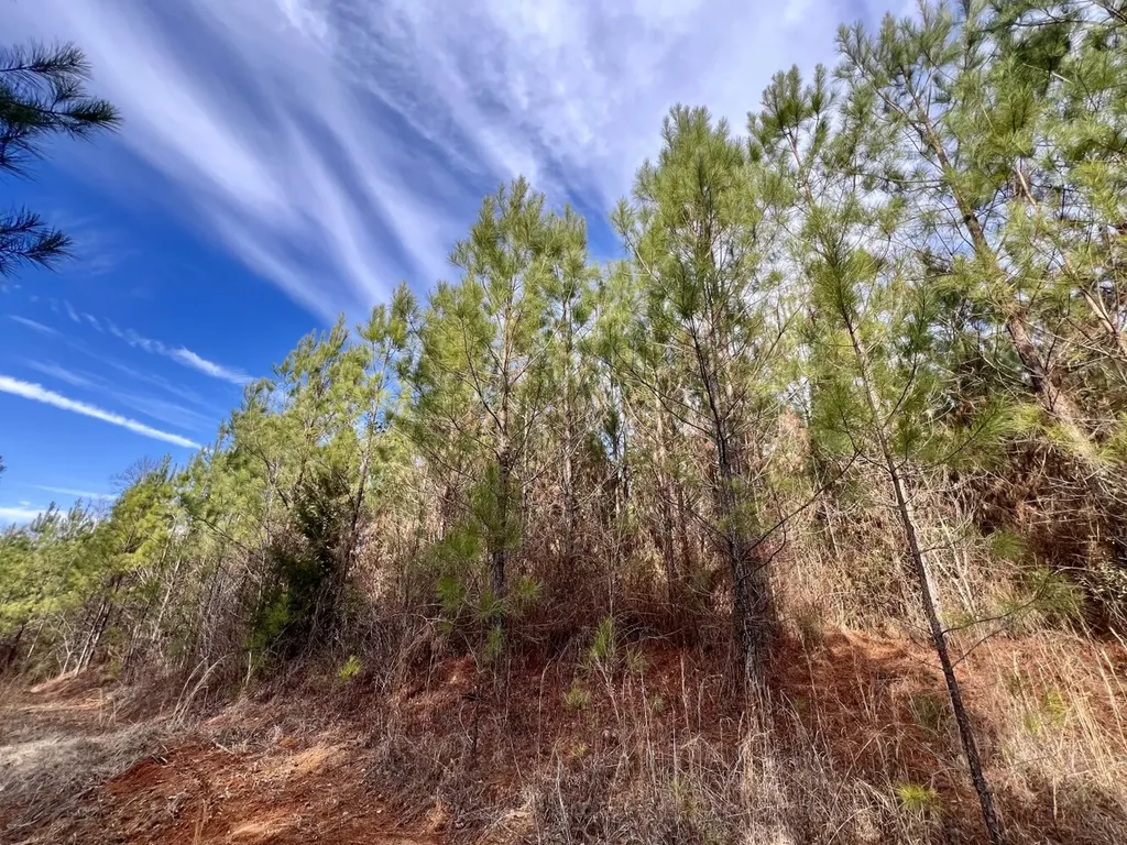 0 Old Claiborne Road Thomasville AL 36784