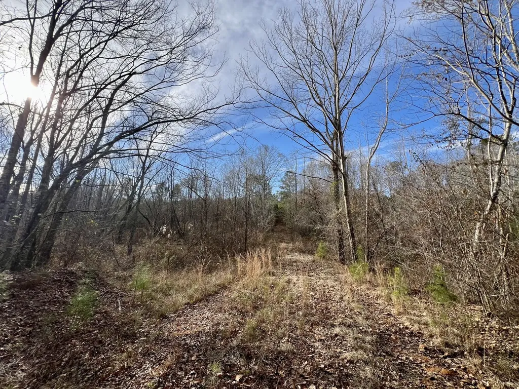 0 Old Claiborne Road Thomasville AL 36784