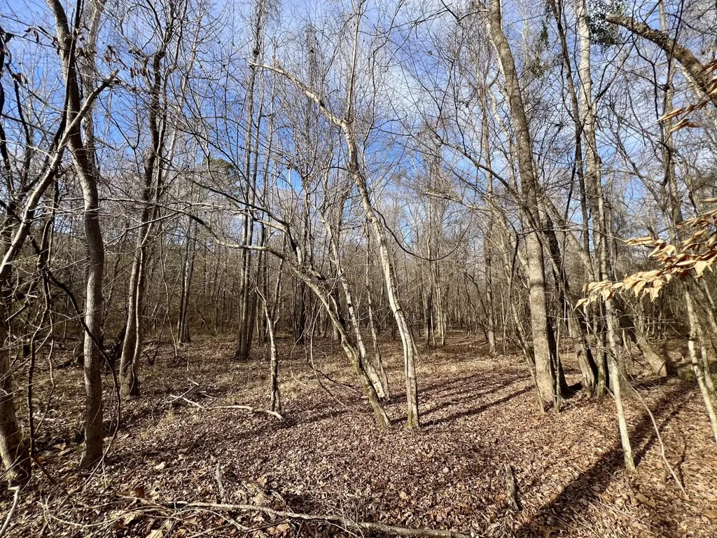 0 Old Claiborne Road Thomasville AL 36784