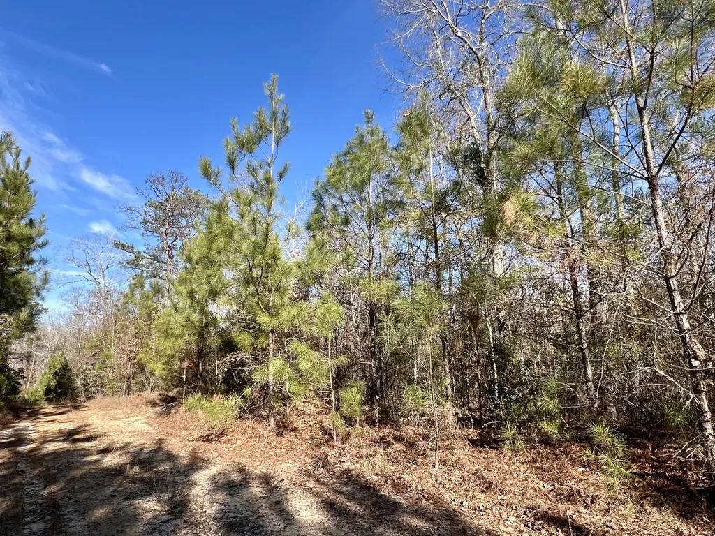 0 Old Claiborne Road Thomasville AL 36784
