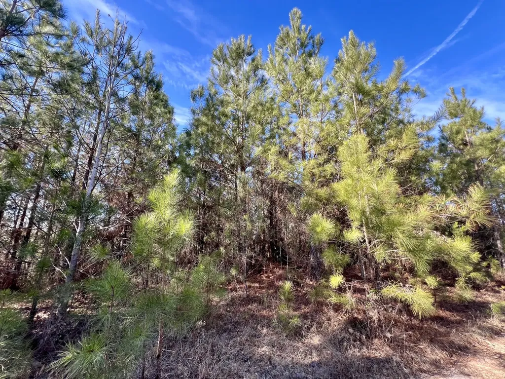 0 Old Claiborne Road Thomasville AL 36784
