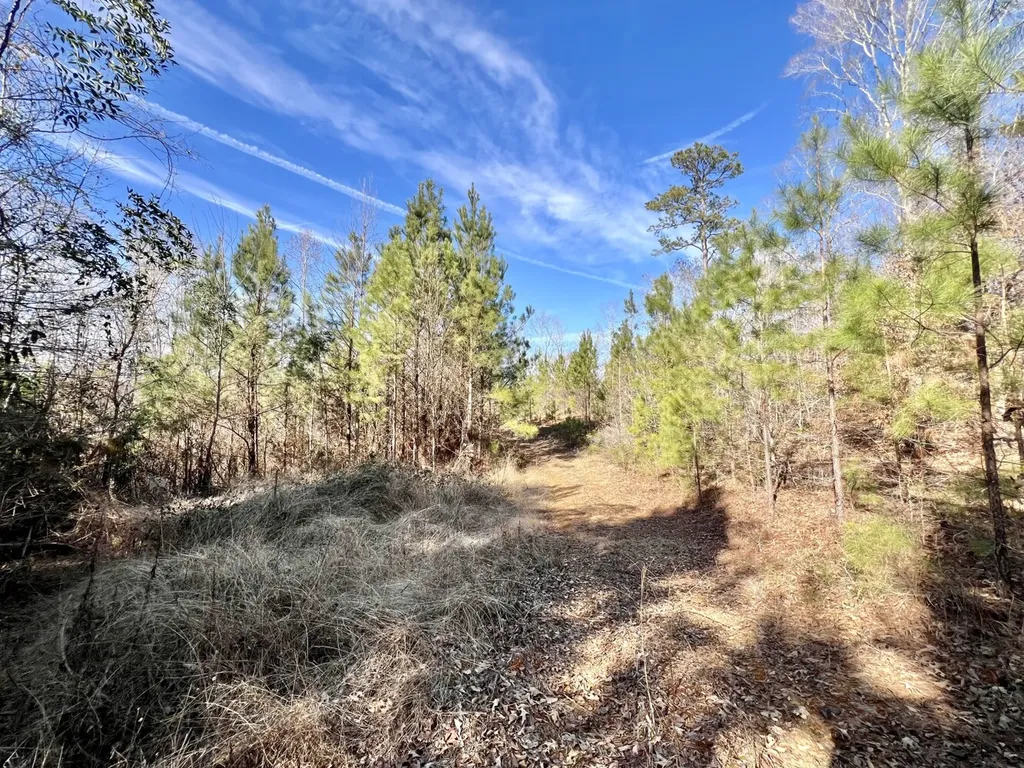 0 Old Claiborne Road Thomasville AL 36784