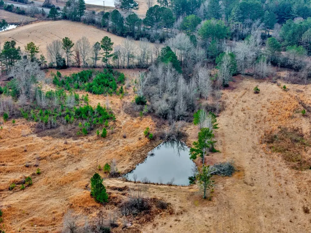 3070 Highway 5 Jasper AL 35503