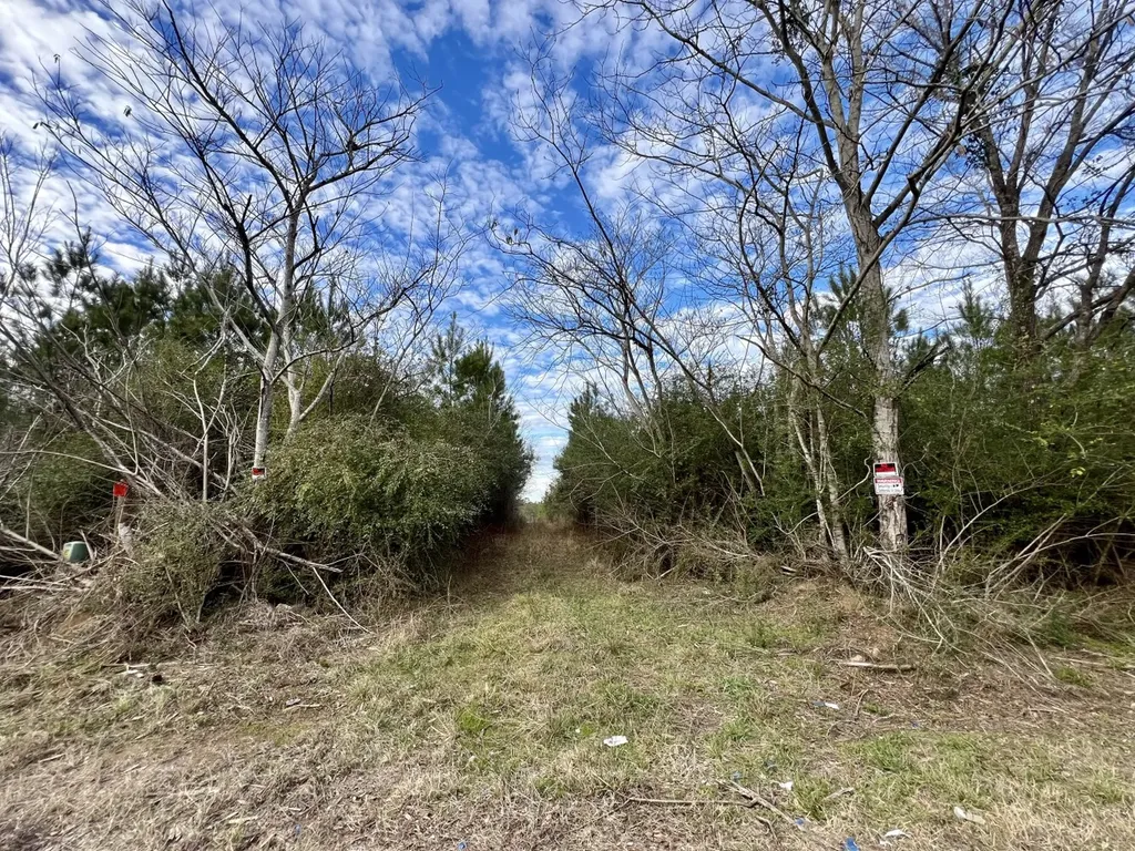 0 County Road 67 Thomasville AL 36769