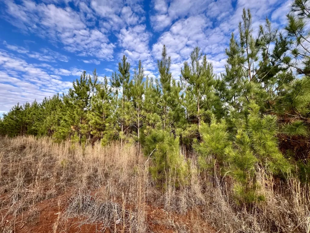 0 County Road 67 Thomasville AL 36769