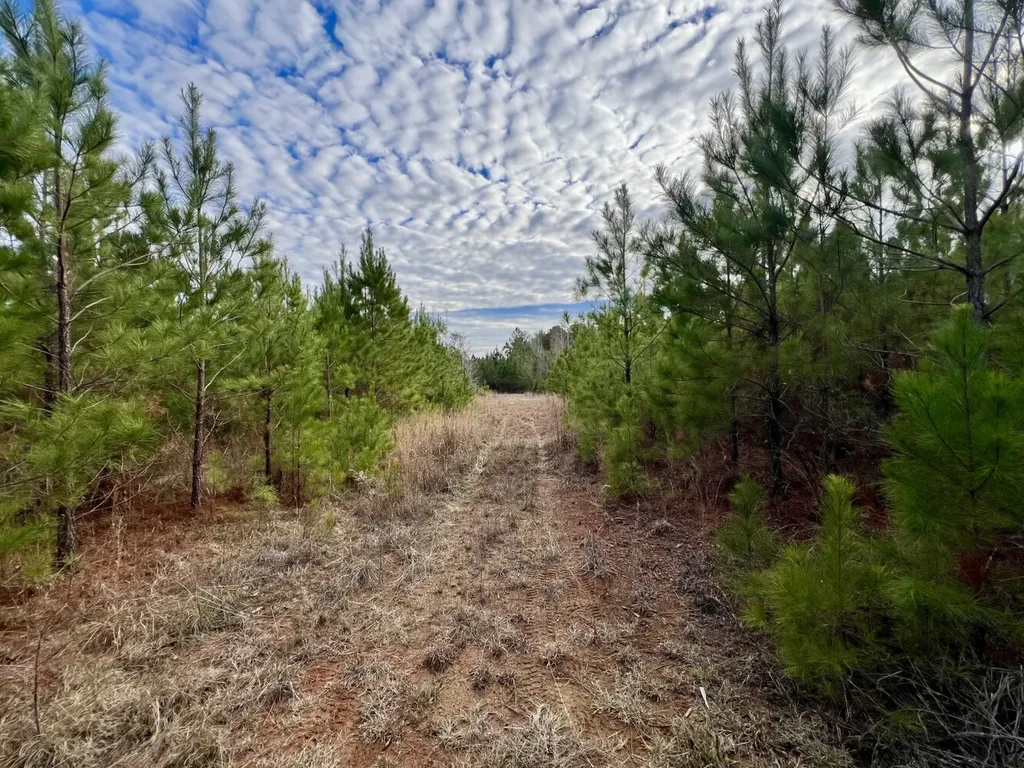 0 County Road 67 Thomasville AL 36769