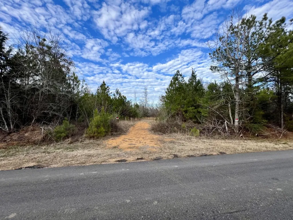 0 County Road 67 Thomasville AL 36769