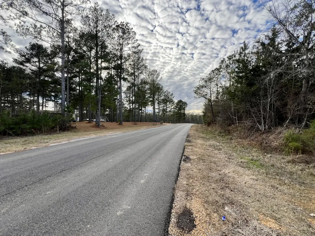 0 County Road 67 Thomasville AL 36769