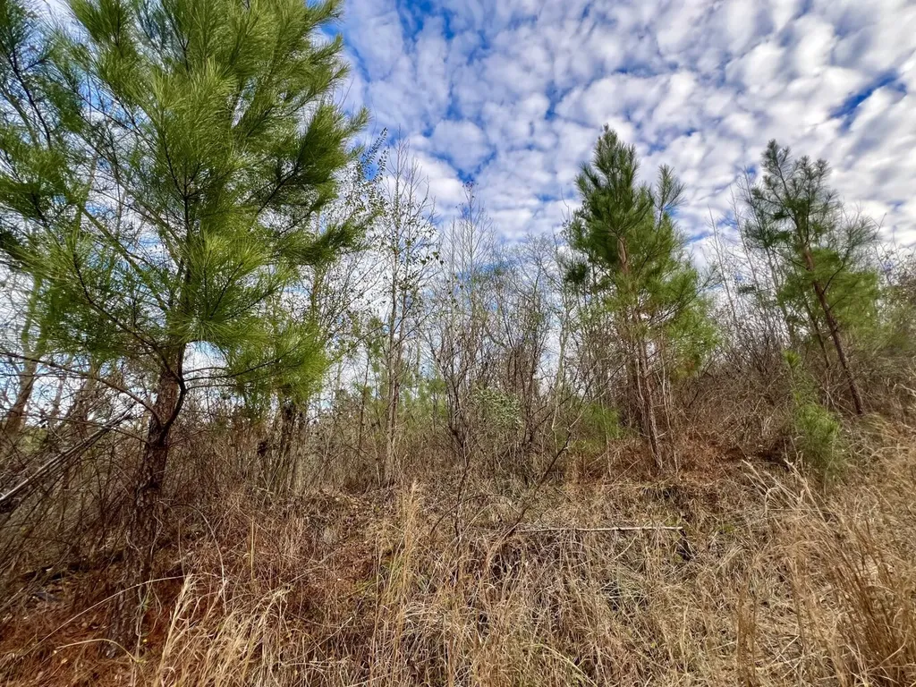 0 County Road 67 Thomasville AL 36769