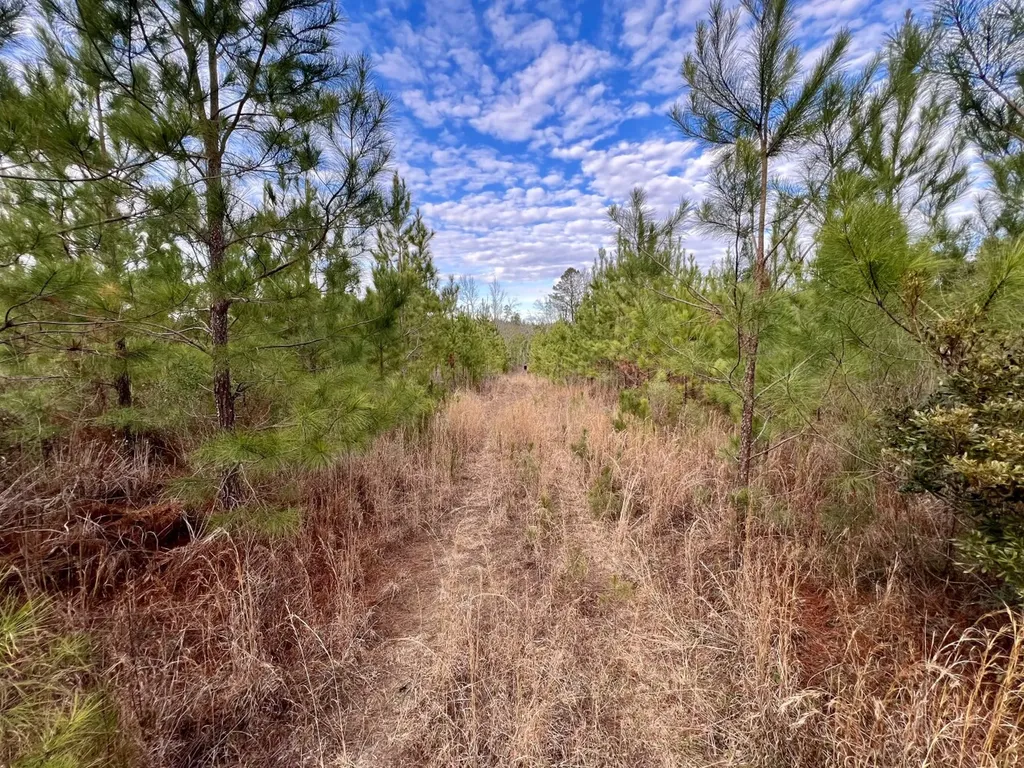 0 County Road 67 Thomasville AL 36769