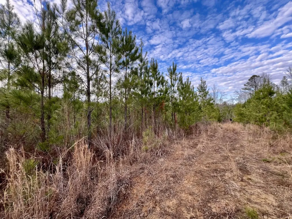 0 County Road 67 Thomasville AL 36769