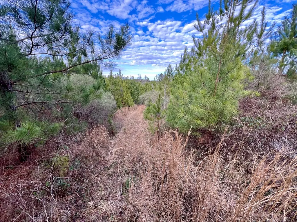 0 County Road 67 Thomasville AL 36769