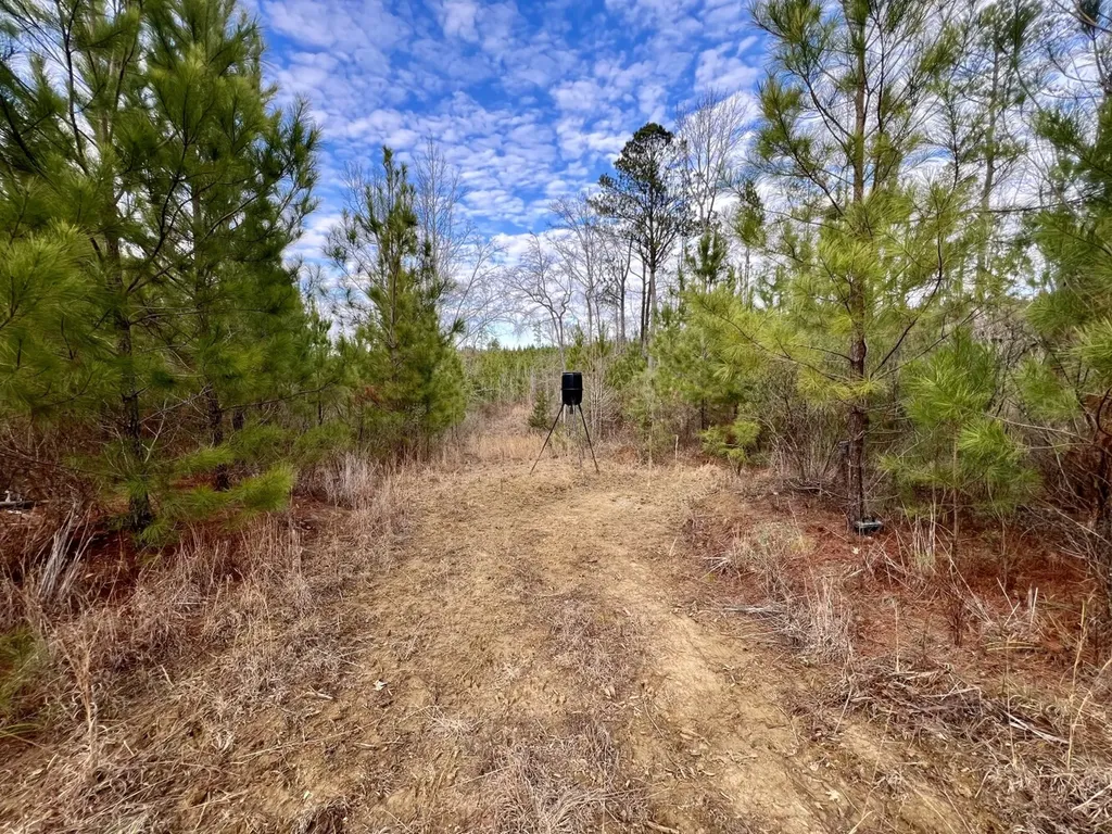 0 County Road 67 Thomasville AL 36769