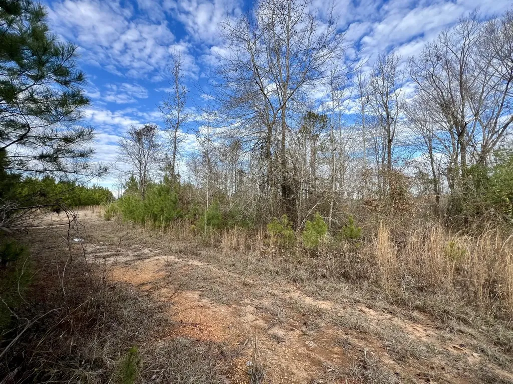 0 County Road 67 Thomasville AL 36769