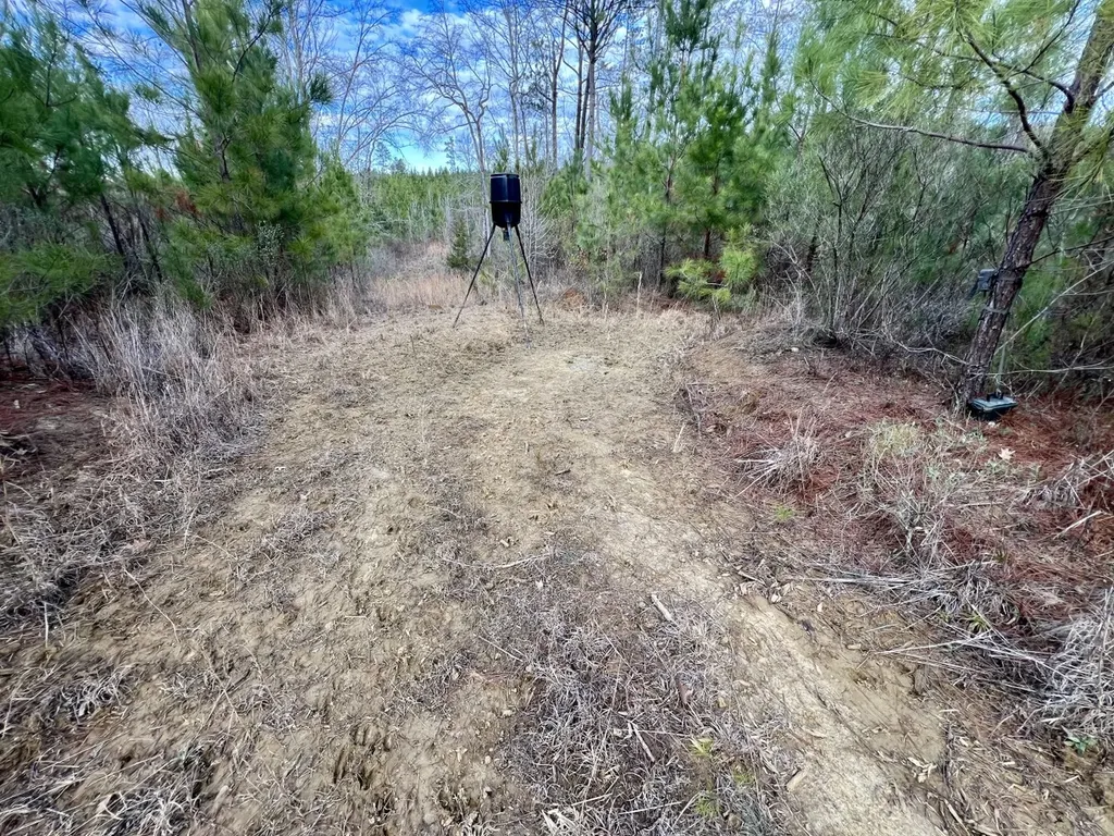 0 County Road 67 Thomasville AL 36769