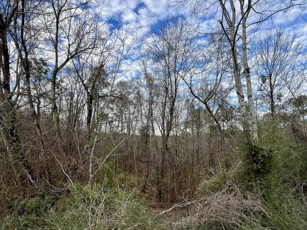 0 County Road 67 Thomasville AL 36769