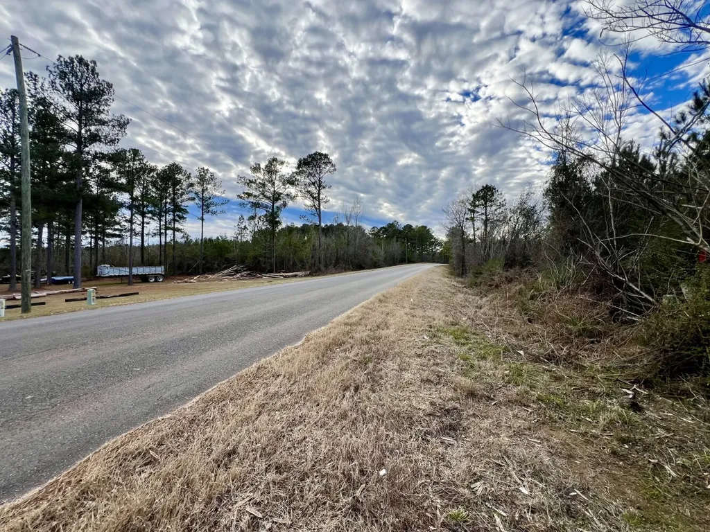 0 County Road 67 Thomasville AL 36769