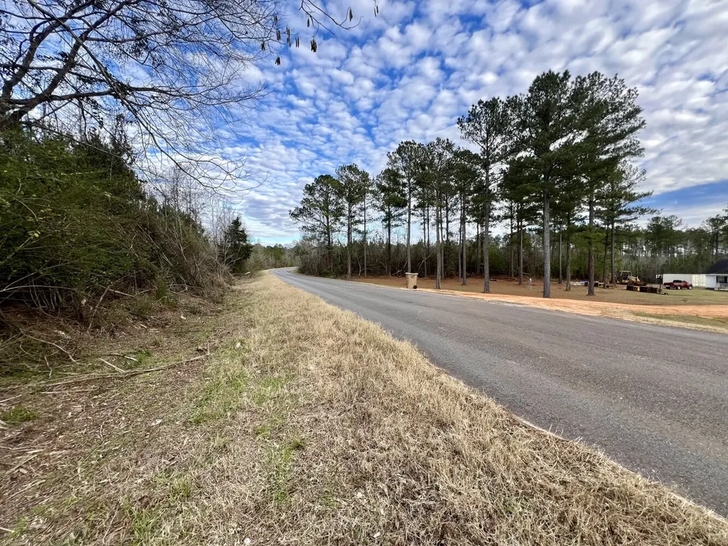 0 County Road 67 Thomasville AL 36769