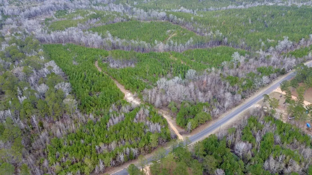 0 County Road 67 Thomasville AL 36769