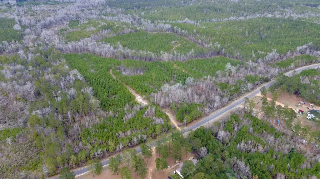 0 County Road 67 Thomasville AL 36769