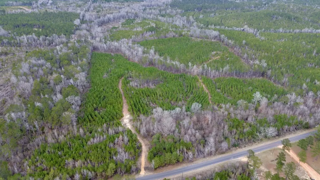 0 County Road 67 Thomasville AL 36769